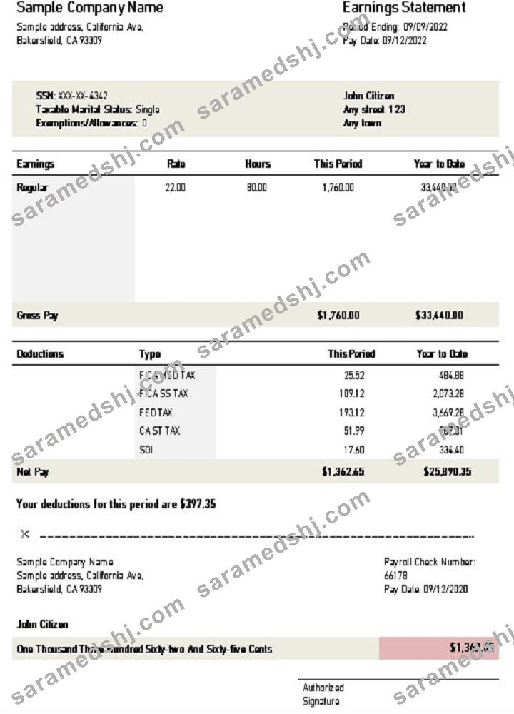 USA California earnings statement